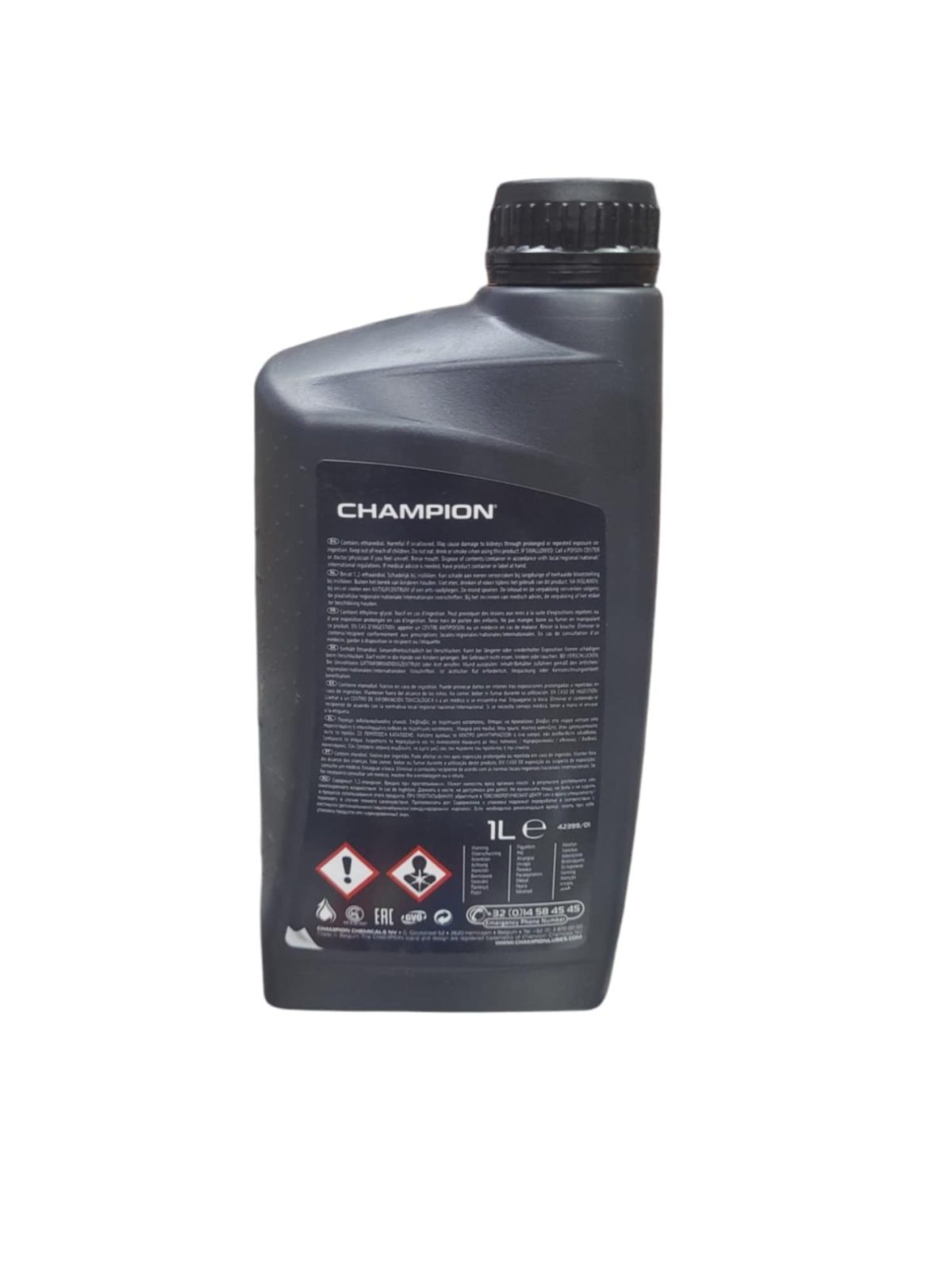champion1 1 scaled