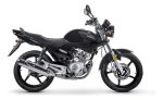 Pastillas y Balatas de Freno Yamaha YBR 125 / YBR 125Z - Imagen 2
