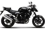 Pastillas de Freno Traseras Keeway 125/150/200 - Hyosung 250GT - Imagen 2