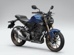 Pastillas de Freno Delanteras Honda CB 300R - Imagen 3