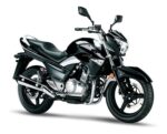 Pastillas de Freno Delanteras y Traseras Suzuki INAZUMA 250 - Imagen 3