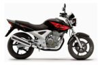 Pastillas y Balatas de Freno Honda CBX 250 TWISTER - Imagen 2