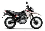 Pastillas de Freno Delanteras y Traseras Honda XR 150L