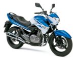 Disco de Freno Trasero Suzuki INAZUMA 250 / VSTROM 250 - Imagen 4